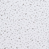 Armstrong Aleria L Mineral Ceiling Tile
